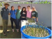 Eco Escuela